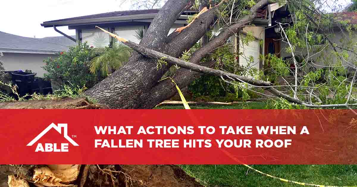 What Actions to Take When a Fallen Tree Hits Your Roof